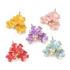 Alloy with Enamel Pendants AL-CBAE84A-05G-1