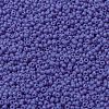 MIYUKI Round Rocailles Beads SEED-X0055-RR0417L-3