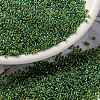 MIYUKI Round Rocailles Beads X-SEED-G009-RR0341-1