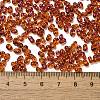 Spray Painted Glass Seed Beads SEED-F005-05A-01-4