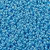 MIYUKI Round Rocailles Beads X-SEED-G009-RR0433-3