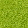 MIYUKI Delica Beads SEED-JP0008-DB0766-3