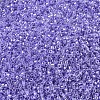 MIYUKI Delica Beads SEED-X0054-DB0249-3