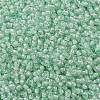 TOHO Round Seed Beads X-SEED-TR11-1065-2