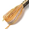 10 Skeins 6-Ply Polyester Embroidery Floss OCOR-K006-A18-2