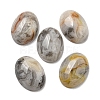 Natural Crazy Agate Cabochons G-C115-01A-33-1