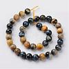 Natural Dream Tiger Eye Beads Strands G-G898-10mm-2