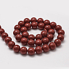 Shell Pearl Beads Strands BSHE-L026-01-12mm-2