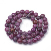 Natural Lepidolite/Purple Mica Stone Beads Strands G-T103-05-2