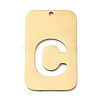 304 Stainless Steel Pendants STAS-D200-01C-G-1