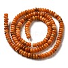 Natural Dolomite Beads Strands G-K350-A01-01E-3