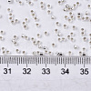 Glass Seed Beads X-SEED-S042-04B-06-4