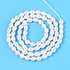 Natural Cultured Freshwater Pearl Beads Strands PEAR-N024-03-2AB-01-3