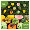  10Pcs 10 Styles Imitation Fruit Resin Display Decorations DJEW-NB0001-34-5