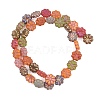 Painted Glass Beads Strands GLAA-F133-07B-2