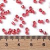 Baking Paint Glass Seed Beads X-SEED-S042-15A-06-4