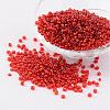 8/0 Glass Seed Beads X-SEED-A005-3mm-25-1