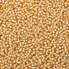 TOHO Round Seed Beads SEED-XTR08-0923-2