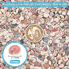 Mini Natural Shell Beads BSHE-PH0001-57B-4