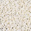 FGB Grade A Glass Round Bugle Beads SEED-Q040-06A-02-3