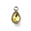 304 Stainless Steel Pendants STAS-Q346-04P-06-1