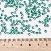 MIYUKI Round Rocailles Beads X-SEED-G008-RR0435-4