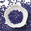 Glass Seed Beads SEED-H002-A-A619-2