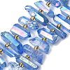 Electroplated Natural Quartz Crystal Beads Strands G-F800-F14-1