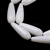 Natural Freshwater Shell Beads Strands SHEL-A004-03A-3