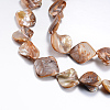 Natural Sea Shell Beads S00EA011-2