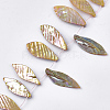 Freshwater Shell Beads Strands X-SHEL-T012-51A-1