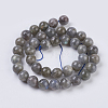 Natural Labradorite Beads Strands X-G-G212-10mm-23-2