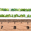 Dyed Natural Trochid Shell/Trochus Shell Beads Strands SSHEL-T017-13C-4