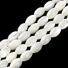 Natural Trochus Shell Beads Strands BSHE-E030-02A-2