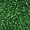 6/0 Round Silver Lined Round Hole Glass Seed Beads X-SEED-A005-4mm-27-2
