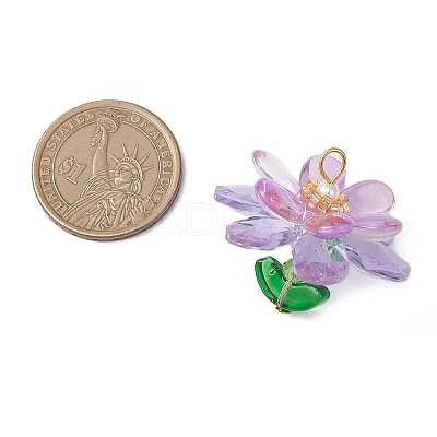Glass & Acrylic Pendantns PALLOY-MZ01163-1