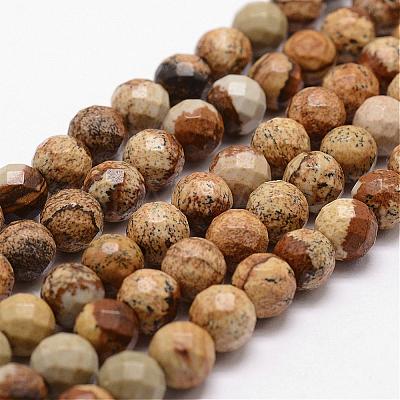 Natural Picture Jasper Beads Strands G-D840-47-8mm-1