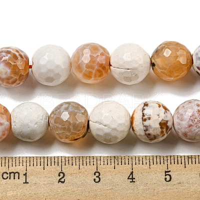 Faceted Natural Fire Crackle Agate Beads Strands G-F447-12mm-H04-1