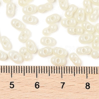 Baking Paint Glass Seed Beads SEED-L011-09A-17-1