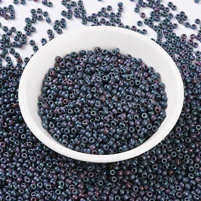 MIYUKI Round Rocailles Beads X-SEED-G008-RR2009-1