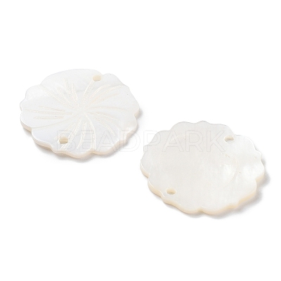 Natural Freshwater Shell Pendants X-SHEL-D082-14A-1
