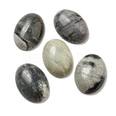 Natural Picasso Jasper Cabochons G-C115-01A-37-1
