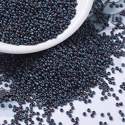 MIYUKI Round Rocailles Beads X-SEED-G007-RR2009-1