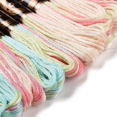 10 Skeins 6-Ply Polyester Embroidery Floss OCOR-K006-A74-1
