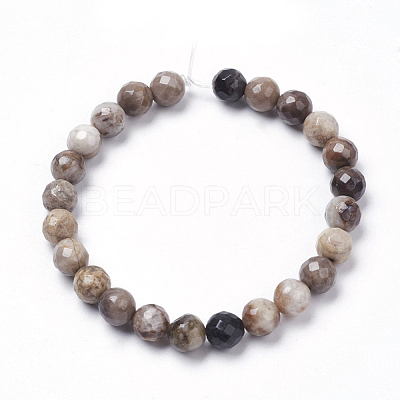 Natural Silver Leaf Jasper Beads Strands G-K181-6mm-O01-1