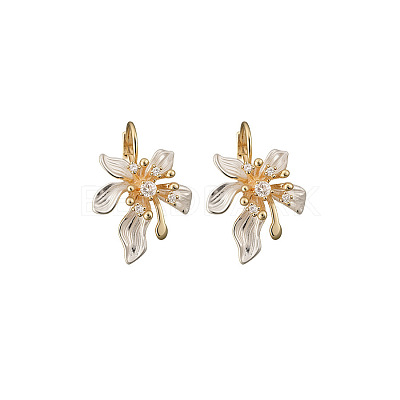 Alloy Enamel Leverback Earrings WGBBE2E-01-1