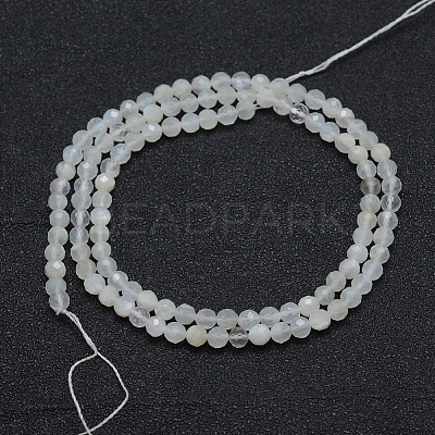 Natural White Moonstone Beads Strands G-E411-07-2mm-1