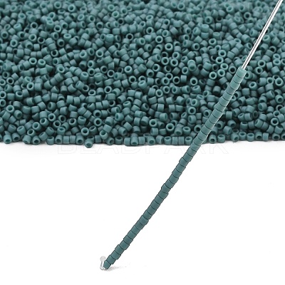 MIYUKI Delica Beads X-SEED-J020-DB2407-1