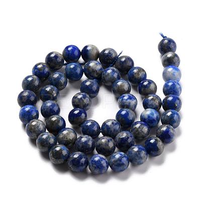 Natural Lapis Lazuli Round Bead Strands G-E262-01-8mm-1