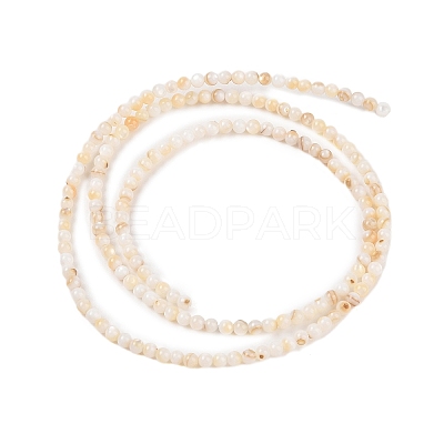 Natural Freshwater Shell Beads Strands SHEL-T011-02-4mm-1